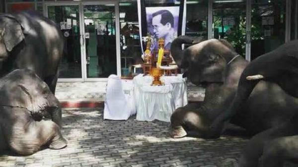 ̩������������ ����Ҋ�z���¹�ߵ��